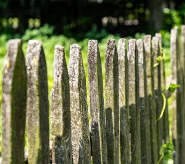 wooden fences
